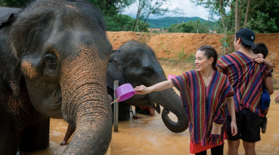 Photo of Elephant Jungle Sanctuary Chiang Mai 1/3 by 